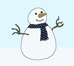 Snow Policies