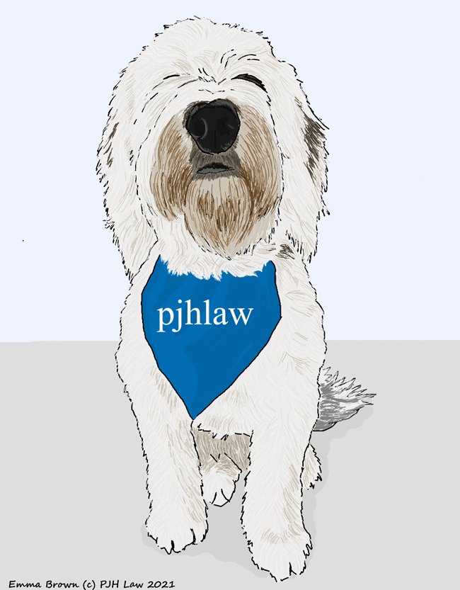 PJHLaw News – New Recruits