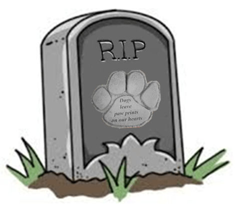 Bereavement Leave – Should it Extend to Pets?