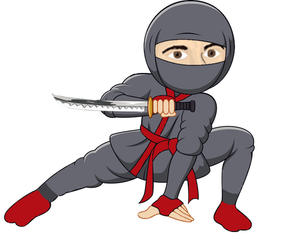 Red Ninja Ltd v Succu